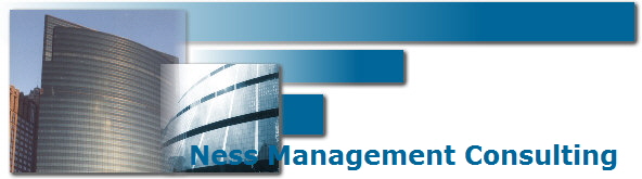 Ness Management Consulting